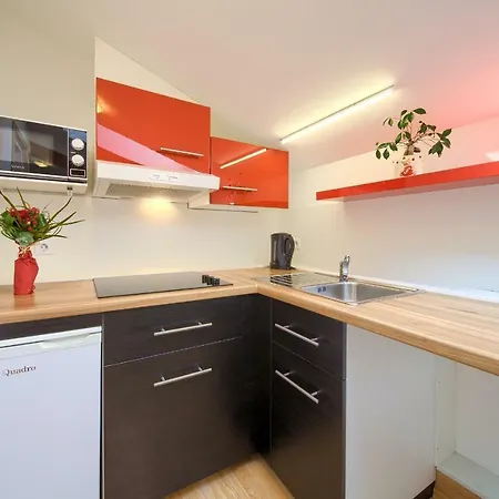 Apartments Muciceva Ravan Jurdani Extérieur photo