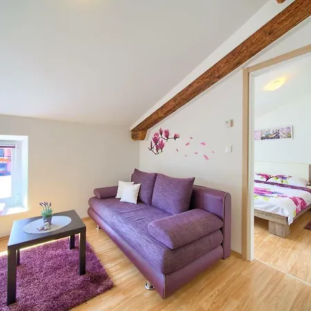 Apartments Muciceva Ravan Jurdani Extérieur photo
